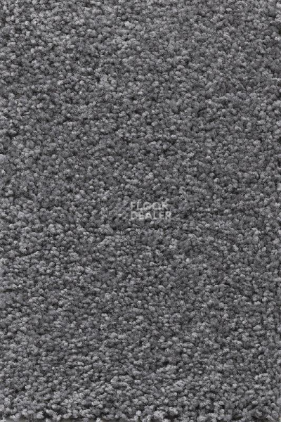 Ковролин AW Devotion 90 фото 1 | FLOORDEALER